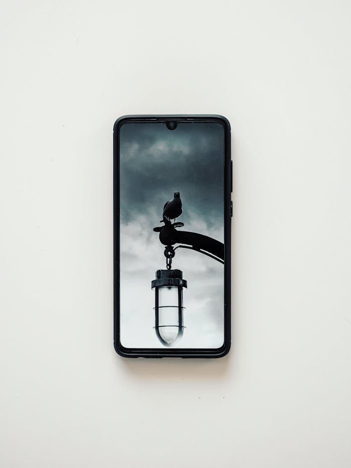 Close-up of a smartphone showing a bird on a street lamp with a cloudy sky in the background.